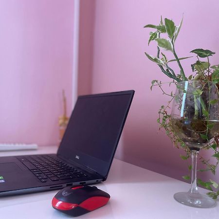 Sunflower Hostel Salvador Ngoại thất bức ảnh