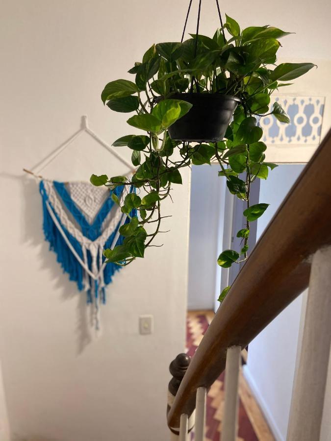 Sunflower Hostel Salvador Ngoại thất bức ảnh